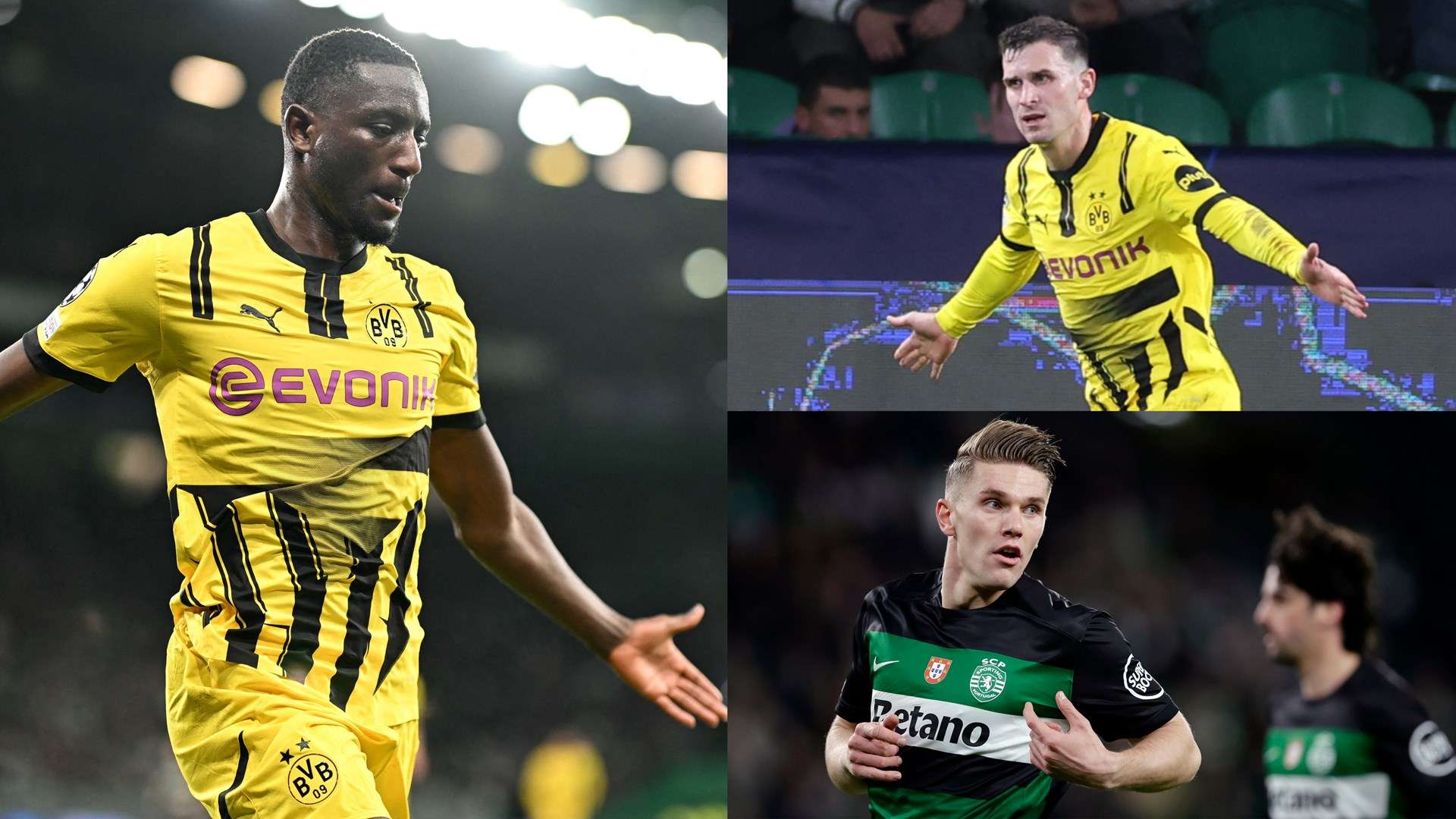 的最好例证 的最好例证