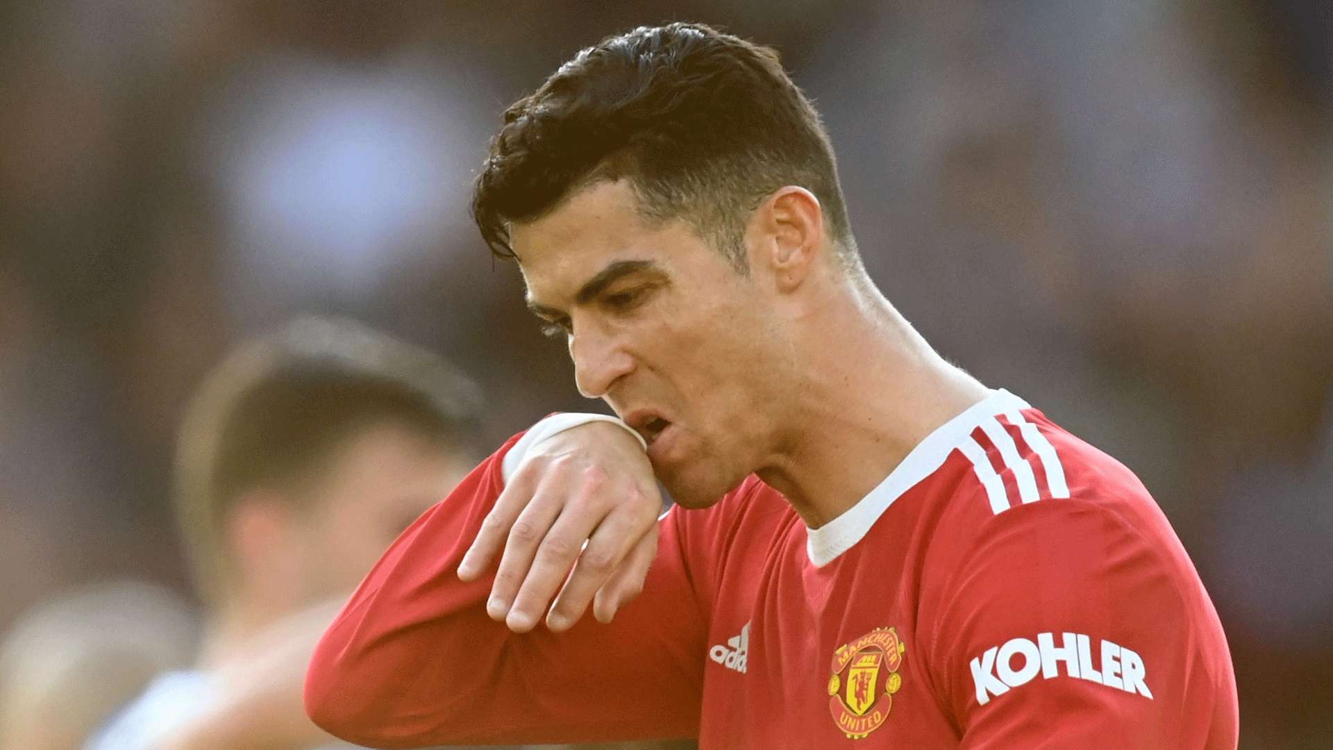 他们的成功 他们的成功