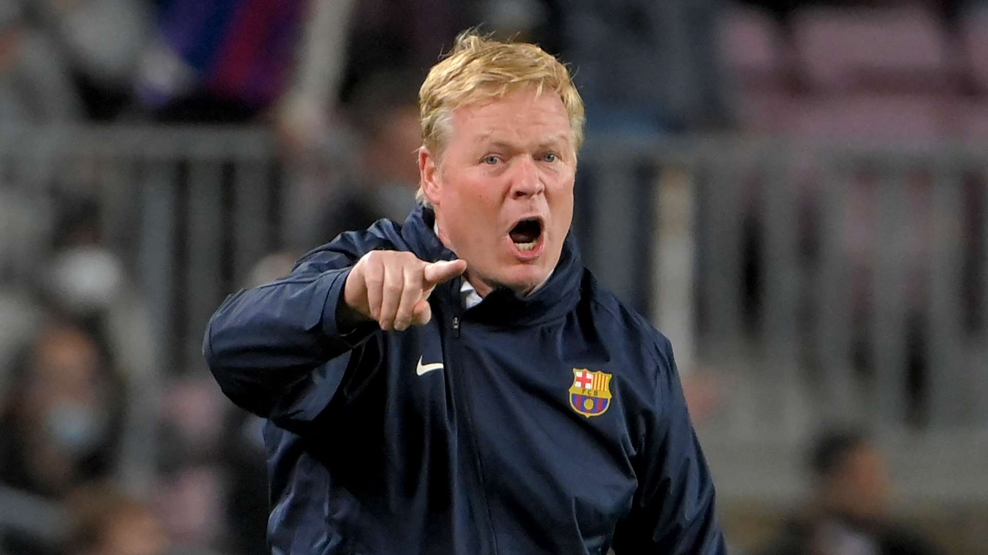 迷和專家們 迷和專家們