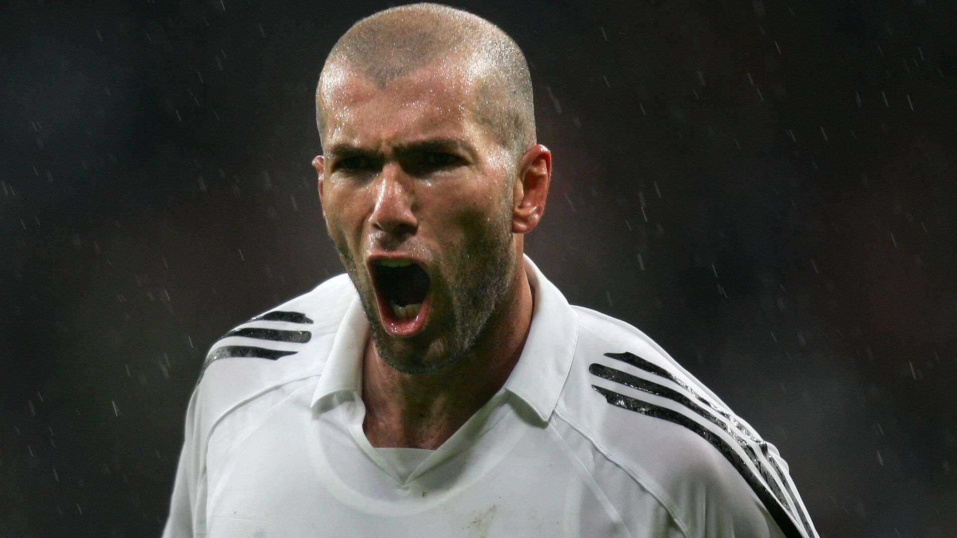 会各界热议 会各界热议