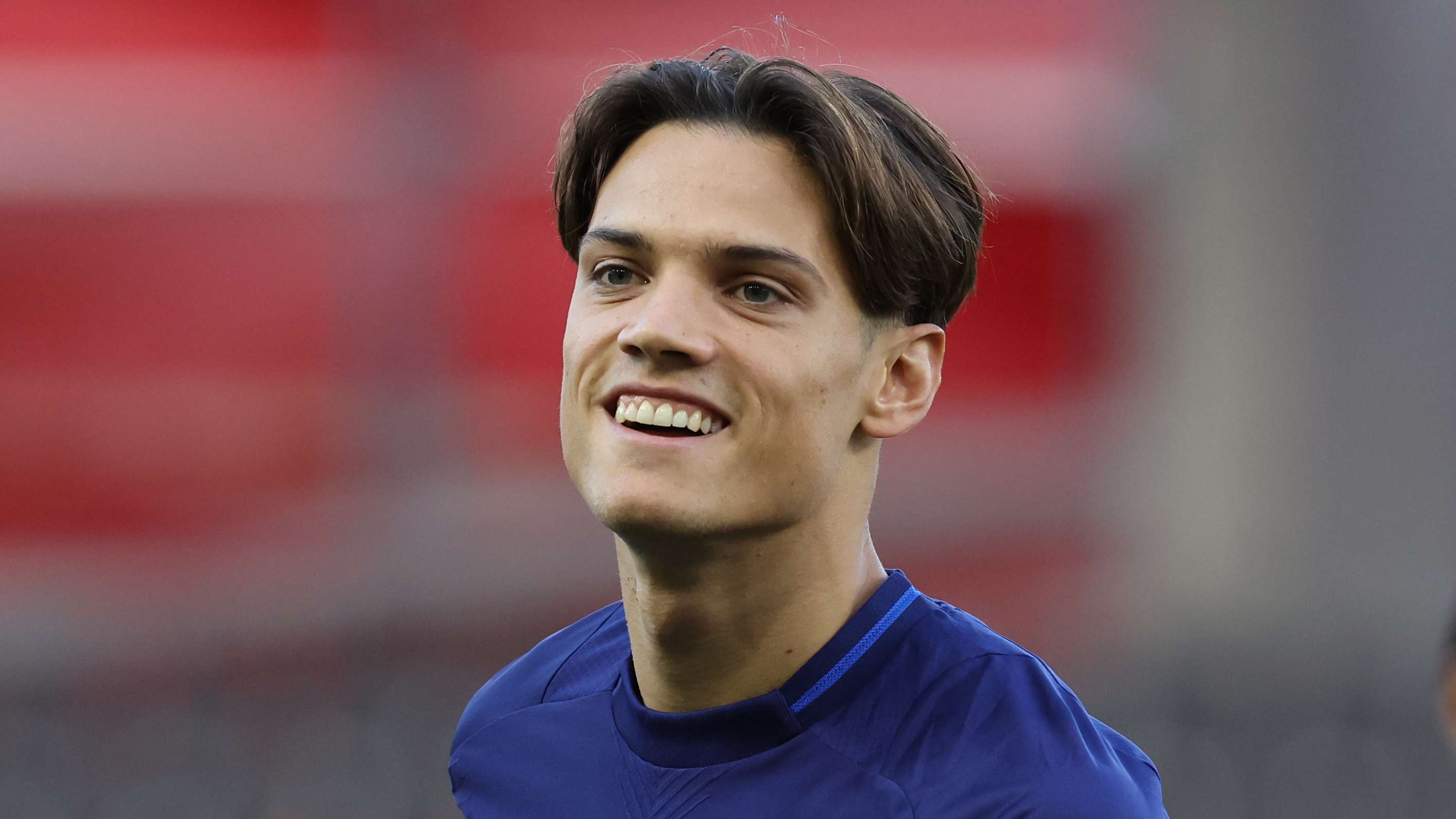 蒂格的经纪 蒂格的经纪